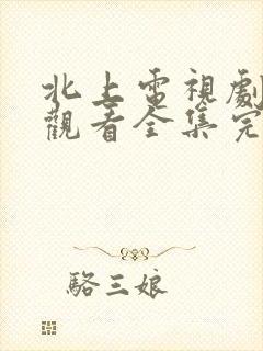 北上电视剧免费观看全集完整版高清