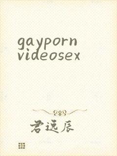 gaypornvideosex