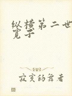 纵横第二世界 宽子封面