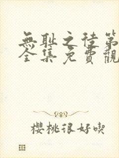 无耻之徒第8季全集免费观看