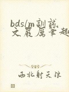 bds/m训诫文严厉笔趣阁网站