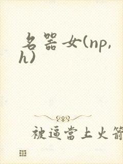 名器女(np,h)
