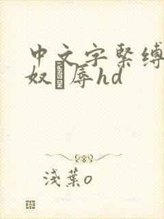 中文字紧缚调教奴隷辱hd