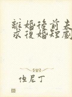 离婚后前夫哭着求复婚短剧演员表