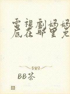 电视剧妈妈你到底在哪里免费观看
