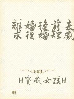 离婚后前夫哭着求复婚短剧