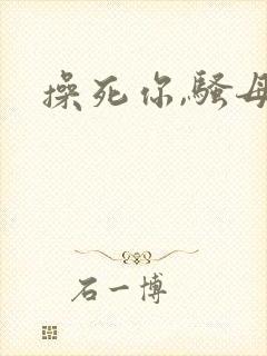 操死你,骚母狗