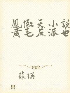 凤傲天小说里的黄毛反派也想幸福》
