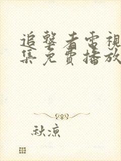追击者电视剧全集免费播放高清