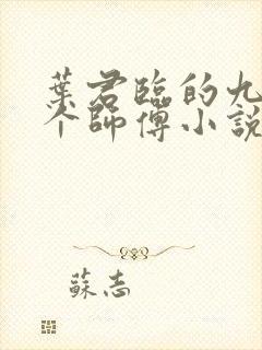 叶君临的九十九个师傅小说