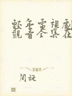 轻年电视剧免费观看全集在线播放高清