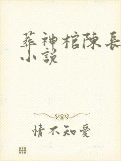 葬神棺陈长安的小说