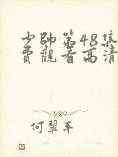少帅第48集免费观看高清