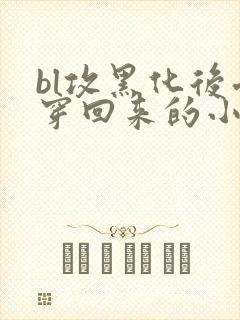 bl攻黑化后受穿回来的小说
