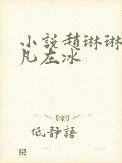 小说赵琳琳和陈凡左冰