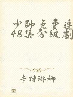 少帅免费连续剧48集分级剧情