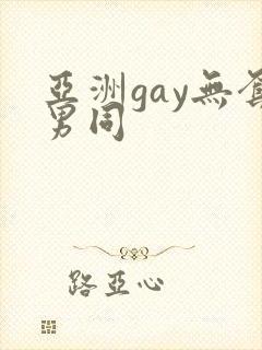 亚洲gay无套男同