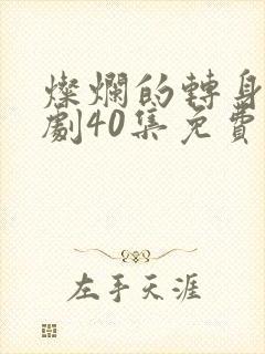 灿烂的转身电视剧40集免费观看高清