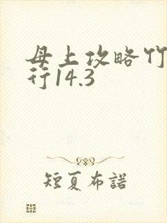 母上攻略竹影随行14.3