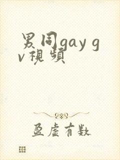 男同gay gv视频封面
