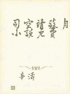 司空靖苏月汐的小说免费