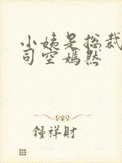 小姨是总裁叶凡司空嫣然
