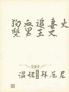 狗血追妻火葬场双男主文