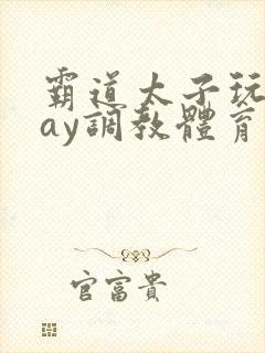 霸道太子玩奴gay调教体育生封面