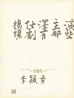 杨仕泽主演的电视剧有哪些