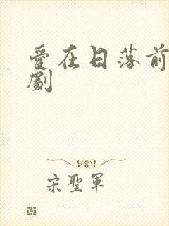 爱在日落前电视剧