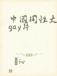 中国同性大尺度gay片封面