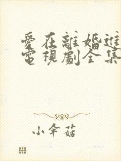 爱在离婚进行时电视剧全集免费观看