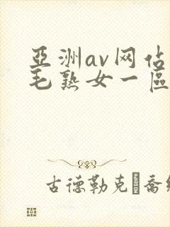 亚洲av网站浓毛熟女一区