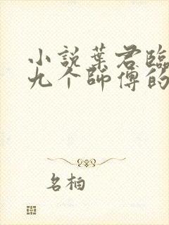 小说叶君临九十九个师傅的结局