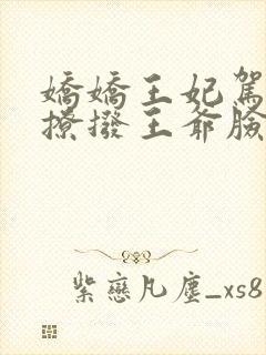 娇娇王妃驾到,撩拨王爷脸红心跳