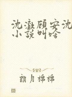 沈澈顾安沈清的小说叫啥