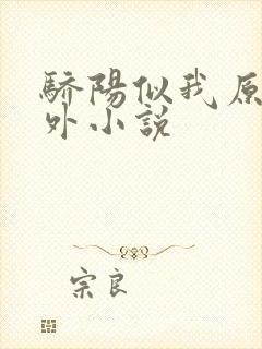 骄阳似我原著番外小说
