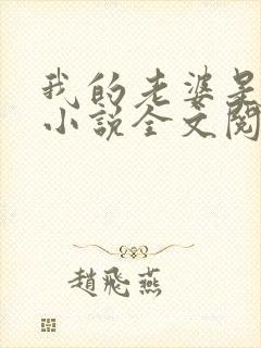 我的老婆是苏玥小说全文阅读封面