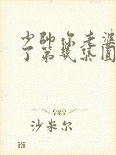 少帅你老婆又跑了第几集圆房