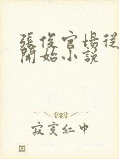 张俊官场从秘书开始小说