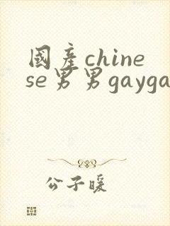 国产chinese男男gaygay xnxx封面