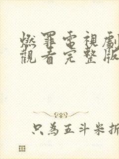 燃罪电视剧免费观看完整版高清