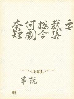 奈何总裁要娶我短剧合集