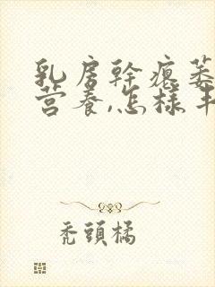 乳房干瘪萎缩没营养,怎样丰胸