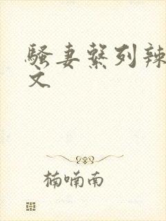 骚妻系列辣文h文