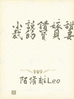 小说错嫁甜婚总裁的宝贝妻