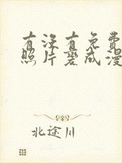 有没有免费的把照片变成漫画的软件