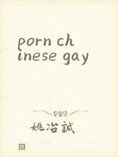 porn chinese gay封面