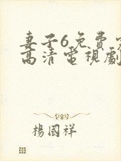 妻子6免费完整高清电视剧看