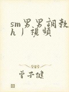 sm男男调教〈h丿视频